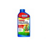 Best Weed Killer Featured