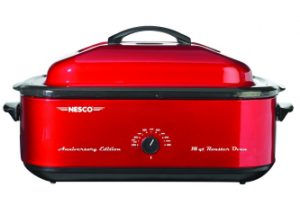 Nesco 4818 22 