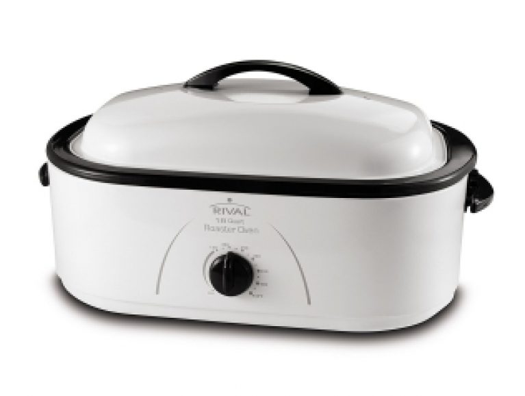 10 Best Electric Roasters 2017 Reviews TopReviewHut