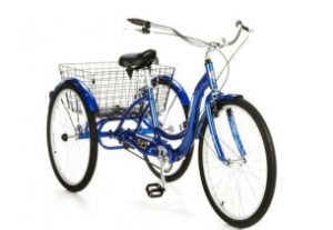 26 Schwinn Meridian