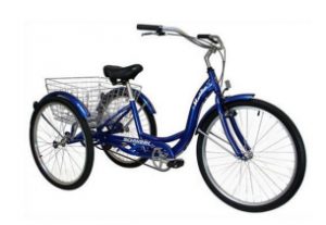 Schwinn Meridian Adult 26