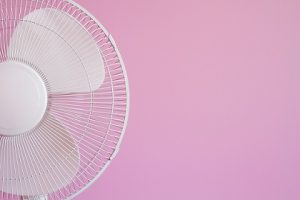 Pedestal Fan