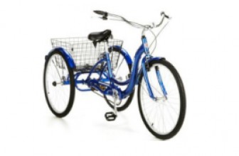Best Tricycles For Adults For Sale (Top 10 Picks)